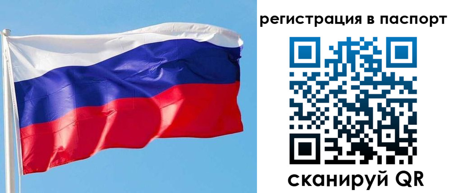 прописка законно в Волосово