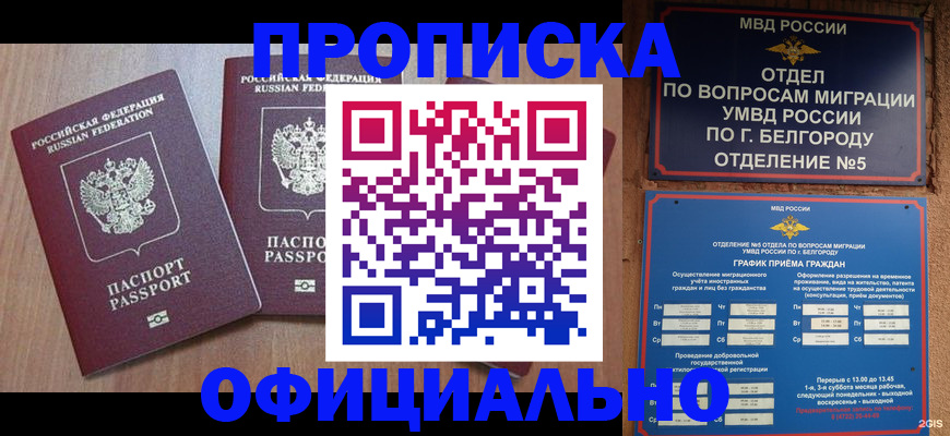 найти адрес прописки в Волосово